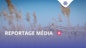 Reportage média TAUW France mis en lumière