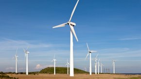 Suivi environnemental – parc éolien Activité des chauves-souris