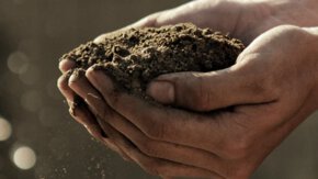La nécessité de sols sains